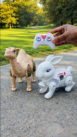 RC Camel & Remote Control Rabbit Walking Test 🐪🐰
