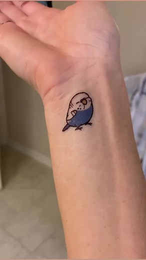 9.2K views · 389 reactions | Got a new tattoo #parrots #birds #budgie #blueberry #birdtricks #petbirds #birb | BirdTricks | Facebook