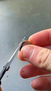 3.9K views · 781 reactions | Simple hookbait tactics keeping the bites coming for @bradd.angling this winter  . . : @bradd.angling . . #carp #carpfishing #fishing #carplife #carpy #carpangler #karpfen #fish #catchandrelease #angling #fishinglife #carpangling #nature #karpfenangeln #mirrorcarp #commoncarp #carphunter #thatscarpy #angler #karpervissen #bigcarp #carpe #karper #instacarp #boilies #carpwatch #nutrabaits #river #carping #carpfishinguk | Nutrabaits | Facebook