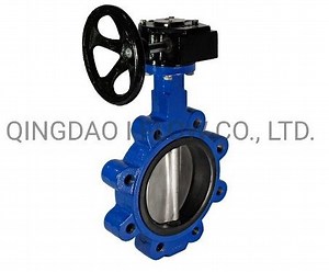 [Hot Item] En593 Wras Approval Lug Type Butterfly Valve