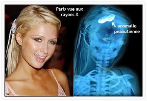 Paris Hilton et sa petite licorne.... La honte !! - Breakforbuzz