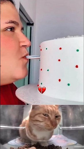 the cat🙀😂#cat #funny #explore #memes #bombastic #viral #shorts