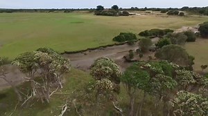 73 reactions · 18 shares | Uwe & Bianka from Germany are on holidays in Tassie and sent us this amazing video to share from Narawntapu National Park :) Here is their message: We are travelling through Tasmania since 3 weeks and enjoy it very much. We hope you enjoy our short video clip. We like Tasmania very much! Uwe & Bianka :) #Tasmania | Tasmania | Facebook