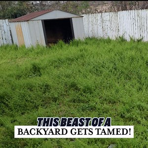 5.5K views · 13 reactions | The Epic Tale Of Taming A Backyard Beast | Riddle Me This | Facebook