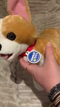 Unboxing Build-A-Bear Promise Pets Corgi from 2018 – So Cute! 🐶🧸💛