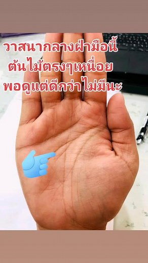 Exploring Human Hands: A Close-Up Study of the Palm