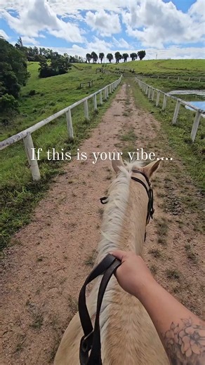 4.8K views · 33 reactions | Yee-haw partners 鸞鸞  Send this to someone you want to take to @kurcowbarnwellfarm #exploreTNQ #explorecairnsGBR #kurand | Tropical North Queensland | Facebook