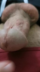 My cook... Mi polla....