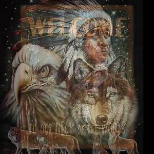 13K views · 711 reactions | Small native video | Wolves and wolfpuppys | Facebook