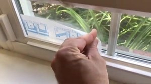 9 Incredible Plants That Repel Flies (No Need for Chemicals)