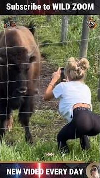 19 Animal Moments You Won't Believe Happened