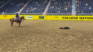Currently leading the average, Kincade Henry, Josey student and instructor, Kincade won the first round and split the second round. We are very proud of him! #joseykid | Martha Josey-Josey Ranch