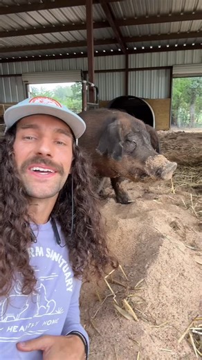 1.7K views · 127 reactions |  We did it, y’all! 掠略 Sitting here in...