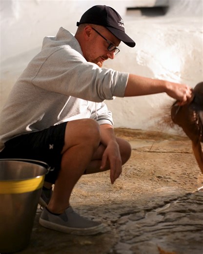 25K views · 336 reactions | We're back with another Trainer Takeover! Meet Alec, one of the incredible zoological specialists here at SeaWorld Orlando. Listen in to hear his story and the amazing animals he gets to work with on a daily basis! Stay tuned for more Trainer Takeovers to hear from all of your favorite trainers. | SeaWorld Orlando | Facebook