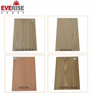 [Hot Item] Shandong Linyi Hot Pressing Ome Time WBP/Pheonolic Ordinary Plywood for Philippines Market