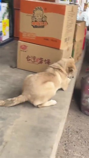 Lunes 💤 | Red Capital