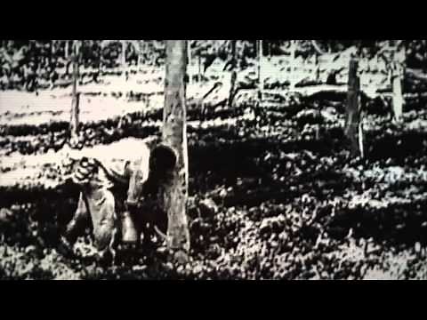 In the middle of the Amazon, the haunted remains of Fordlandia