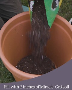 Want to create an everlasting flower pot? Here's how to keep it flourishing now through spring. | Hunker