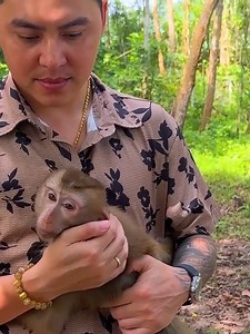 91K views · 3.4K reactions | Sad moments of Diem and Grandma when Monkey Kaka and Mit were confiscated #Kaka | Kaka Page | Facebook