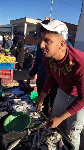 Sorting Fish at a Bustling Outdoor Market