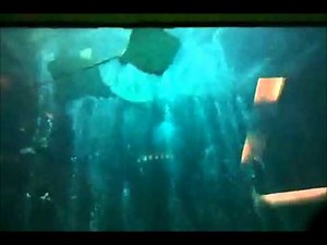 The Giant Aquarium at The Pacific Beach Hotel Dinning Room in Waikiki