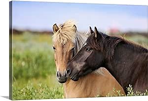 CANVAS ON DEMAND Two Horses Nuzzling Canvas Wall Art Print, Home Decor, Wildlife, Horse Artwork,48" x32in
