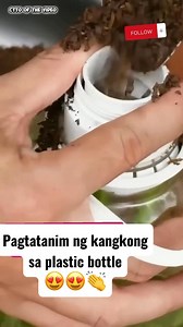 912K views · 12K reactions | Pagtatanim ng kangkong sa plastic bottle #diyprojects #viral #fblifestyle #Amazing #ideas #diyideas | Kalahi Vlogs | Facebook