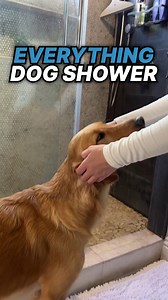 Who knew pet grooming could be so… 🫧calming🫧 | Pet Honesty