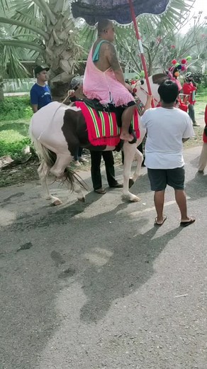 ม้าแห่นาค ด่างเซเว่น #โพหักราชบุรี #ผู้ช่วยบาก0915525707 #อย่าปิดการมองเห็น