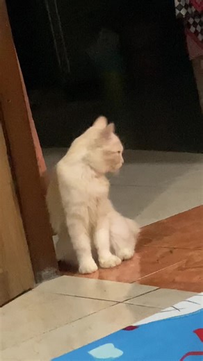 Mak Santrio on TikTok