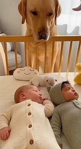 57K views · 1.3K reactions | Cuando el Instinto Más Puro Protege a...