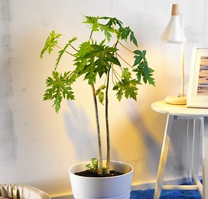 Garden Life Hacks: Easy Tips For A Flourishing Yard! | 5-Minute Crafts Teens