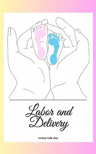 Labor and Delivery Guidebook for Nurses - Etsy