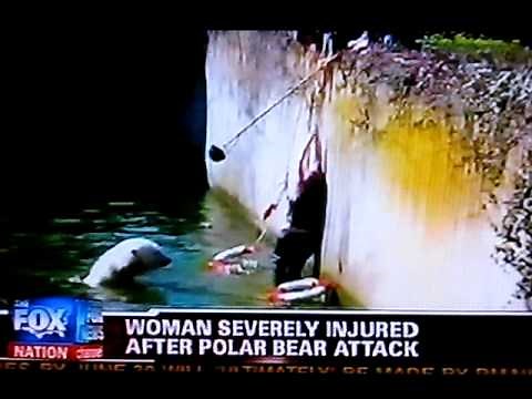 Polar Bear Attacks Woman, Berlin Zoo