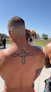 Mark your calendars for August 9th because our Firefighter Calendar Debut Signing Party is going to be on fire 🔥 Join us at Yardbird Table & Bar from 7-11PM for an unforgettable evening with hot firefighters and adorable puppies. Click here to secure your tickets: https://bit.ly/2025FRDCDebutParty | Fire Rescue Dogs Calendar