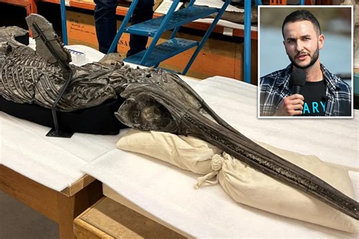 Fossil discovered in England linked to 185M-year-old aquatic ‘sword dragon’ reptile