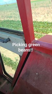 2.5K views · 52 reactions | Miller Farms on Reels | Facebook