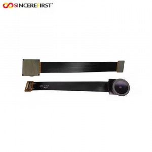 [Hot Item] 2MP OS02g10 Sensor Mipi Dvp Camera Module with Glass Lens Wide Angle