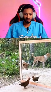659K views · 14K reactions | Dog Thinks It's Another Dog! 爵 .........️.................. Thanks for watching #MrIlluma #FunnyDog #CuteReaction dog sees mirror in jungle, gets scared & reacts like it's a real dog, funny and adorable moment everyone will enjoy #funny #animals | Mr Illuma | Facebook