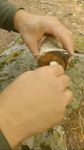 Turkish.Viking.Bushcraft on TikTok