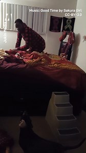 This cheeky pup doesn't want his dinner but does fancy taking a bite out of some some pajamas! 😂 | Metro