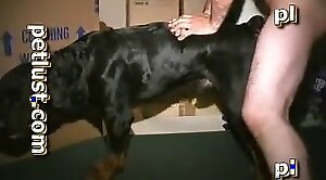 Mãnh liệt hậu môn giao hợp với một người đồng tính động vật trong clip tình dục vườn thú miễn phí