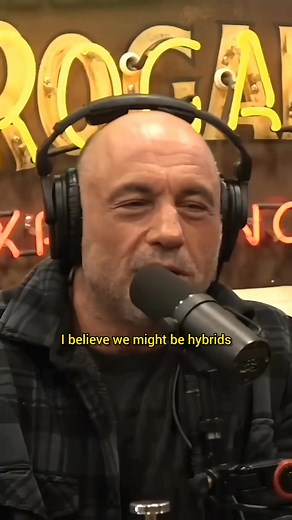 Humans might be hybrids 😳 | History Mystery Tok