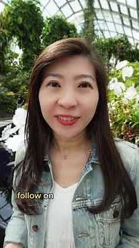 Breast Reduction Surgery - Empowering Women with Macromastia