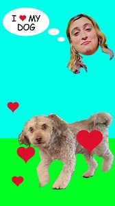 Stream The Z-Suite to see what happens when Gen Z is promoted to the c-suite at an ad agency. (Btw, Hoofers aren't real.) | Tubi