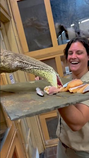 Someone’s Hungry🙌😳 These Argus Monitors are the coolest🙌🤩