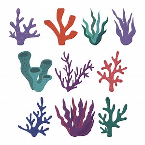 Coral Machine Embroidery Design, Coral Embroidery File, 10 Design, 5 Size, Instant Download - Etsy