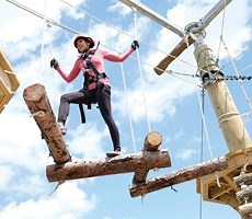 Aerial Adventure Course - Toledo Zoo & Aquarium