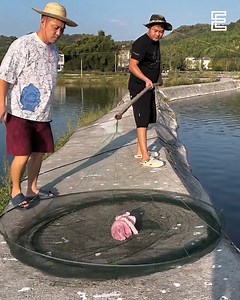 The Versatile Lifting Net | Everyday DIY