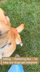 3.7K views · 46 reactions |  #WishlistWednesday  This week, we’re...